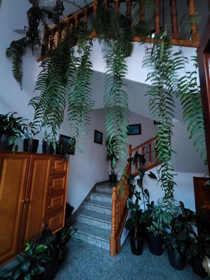 Apartament Bernal I, II Y III Los Sauces Zewnętrze zdjęcie